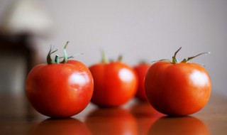 什么时候种植番茄苗 几月份种番茄苗