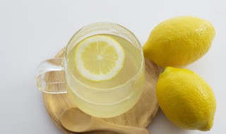 冰糖川贝炖柠檬的做法 冰糖川贝炖柠檬的做法?