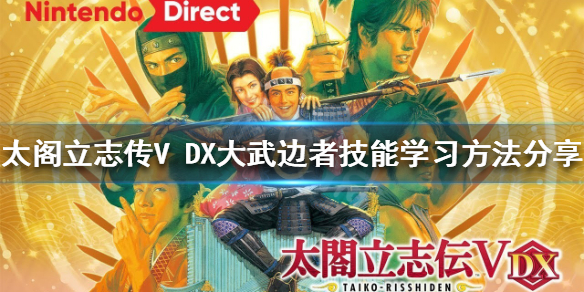 太阁立志传V（太阁立志传v dx新武将）