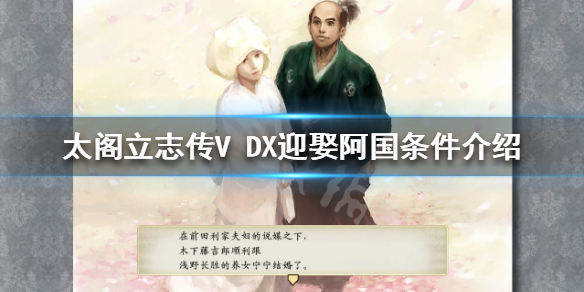 太阁立志传V（太阁立志传v dx破解版）