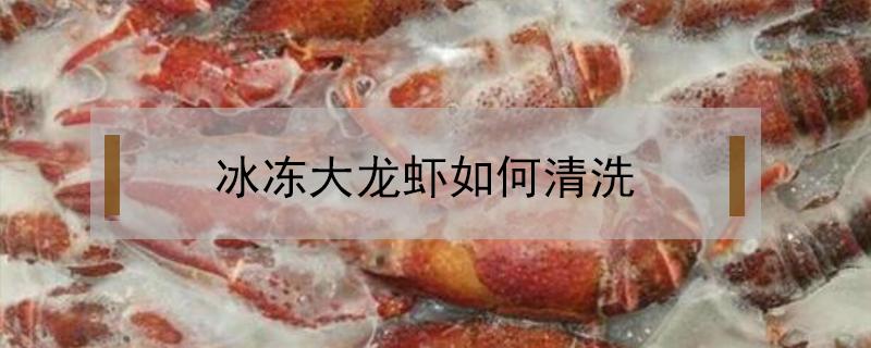 冰冻大龙虾如何清洗（冰冻小龙虾如何清洗）