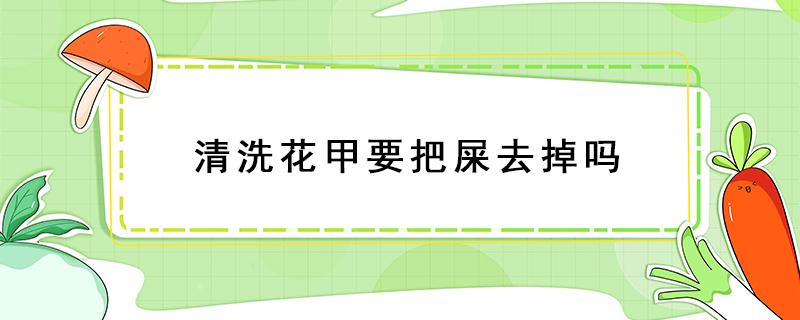 清洗花甲要把屎去掉吗 洗花甲要把屎洗了吗