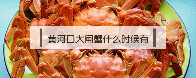 黄河口大闸蟹什么时候有 现在的黄河口大闸蟹是最满黄的季节吗
