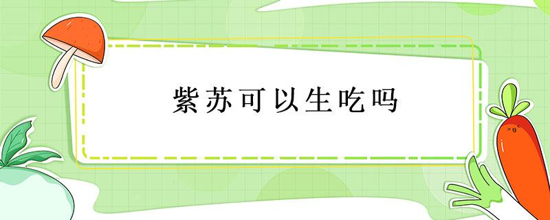 紫苏可以生吃吗 新鲜紫苏可以生吃吗