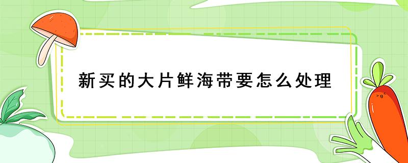 新买的大片鲜海带要怎么处理 整条鲜海带怎么处理