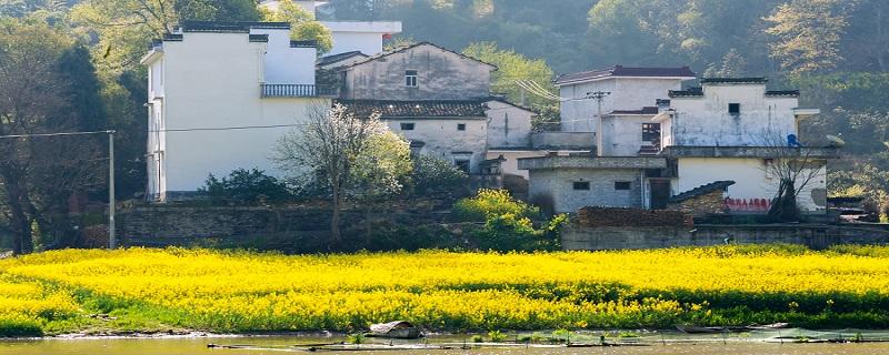 清明节为什么要踏青（清明节为什么要踏青的原因）