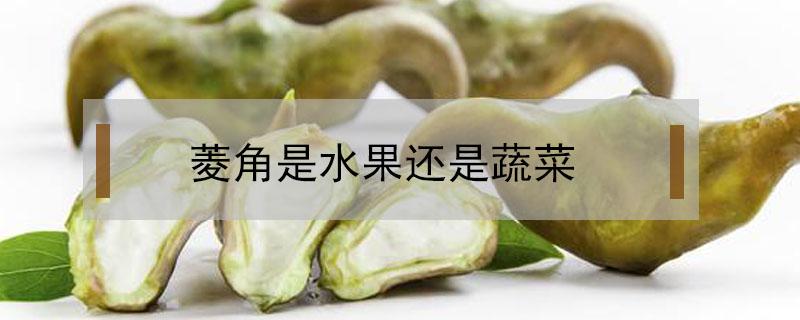 菱角是水果还是蔬菜（菱角属于水果类吗）