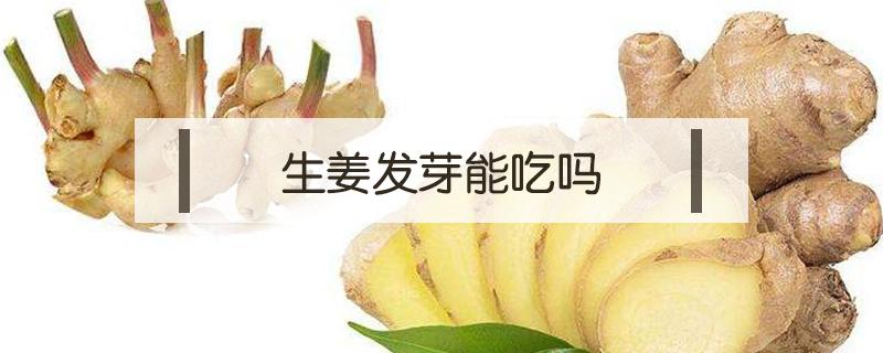 生姜发芽能吃吗 大蒜生姜发芽能吃吗