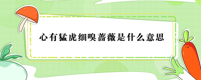 心有猛虎细嗅蔷薇是什么意思（心有猛虎细嗅蔷薇是什么意思呢）