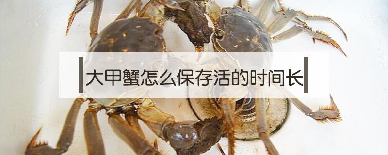 大甲蟹怎么保存活的时间长 活海蟹如何保存时间长
