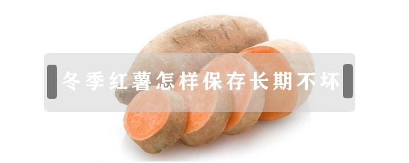 冬季红薯怎样保存长期不坏（红薯过冬怎么保存不腐烂?）