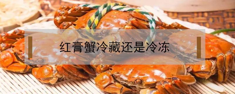 红膏蟹冷藏还是冷冻 红蟹可以冷冻保存吗