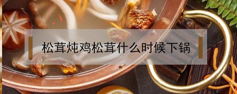 松茸炖鸡松茸什么时候下锅 松茸炖鸡松茸什么时候下锅新鲜鲜