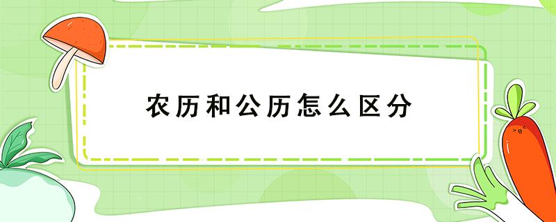 农历和公历怎么区分 农历和公历怎么区分?