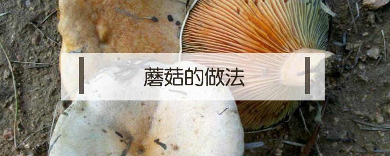 蘑菇的做法