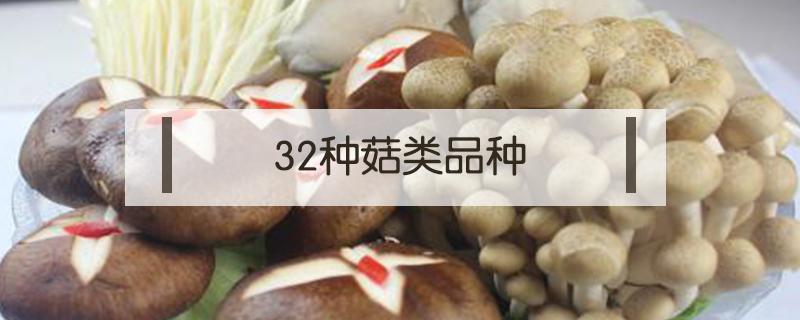 32种菇类品种 32种菇类品种图片