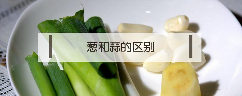 葱和蒜的区别（葱和蒜的区别图片解释）