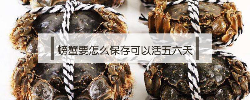 螃蟹要怎么保存可以活五六天（螃蟹怎样保存能多活几天）