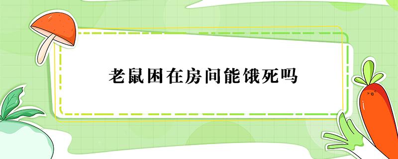 老鼠困在房间能饿死吗