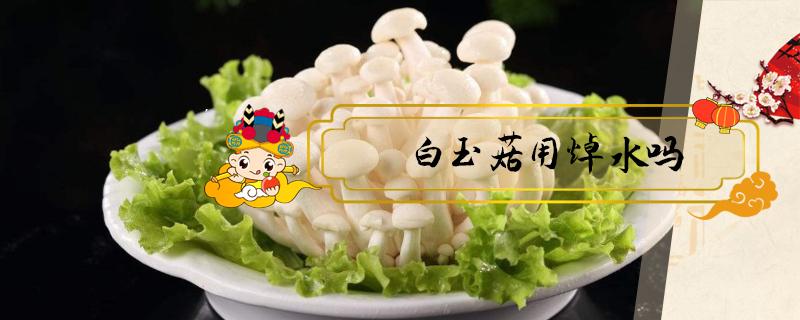 白玉菇用焯水吗（白玉菇为什么要焯水）