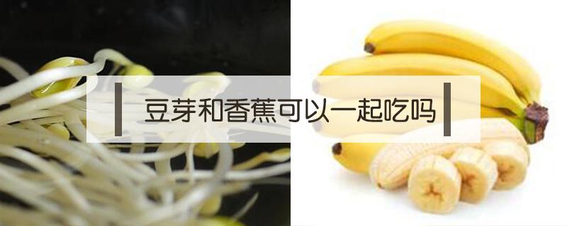 豆芽和香蕉可以一起吃吗 黄豆芽和香蕉能一起吃吗