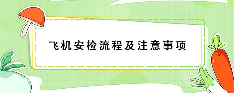 飞机安检流程及注意事项