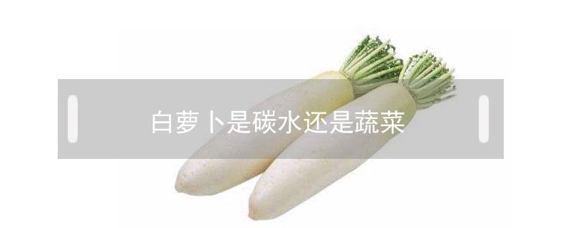 白萝卜是碳水还是蔬菜（青萝卜是碳水还是蔬菜）