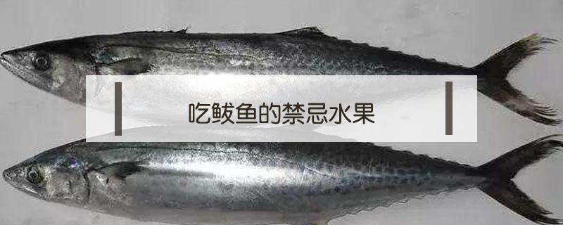 吃鲅鱼的禁忌水果 鲅鱼的禁忌食物