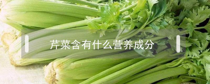 芹菜含有什么营养成分（芹菜含有什么营养成分最多）