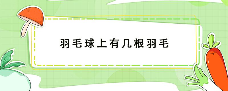 羽毛球上有几根羽毛 羽毛球上有几根羽毛组成