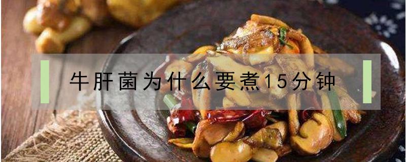 牛肝菌为什么要煮15分钟 牛肝菌煮多少分钟