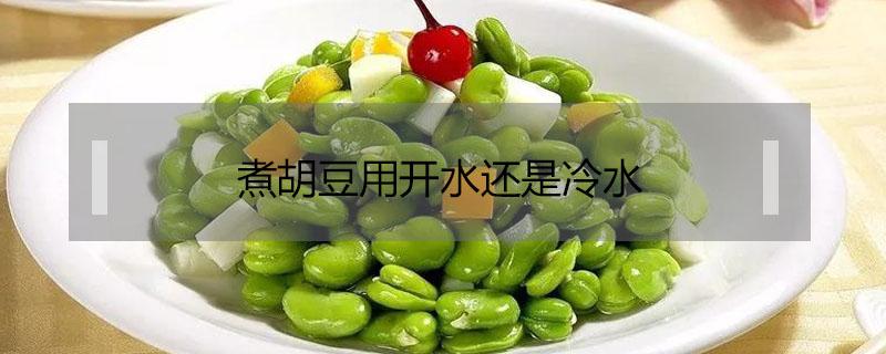 煮胡豆用开水还是冷水