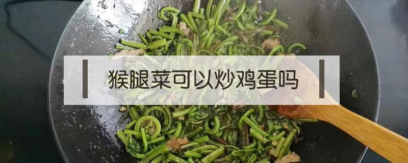 猴腿菜可以炒鸡蛋吗（猴腿炒韭菜的做法）