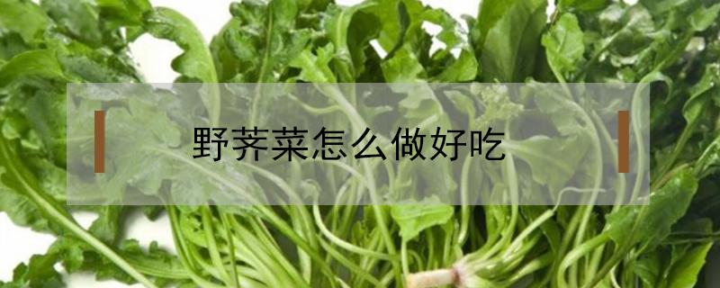 野荠菜怎么做好吃（野荠菜的做法）