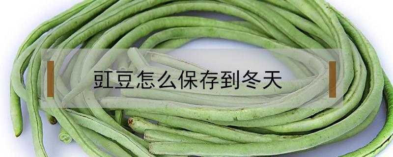 豇豆怎么保存到冬天 豇豆怎么保存到冬天吃