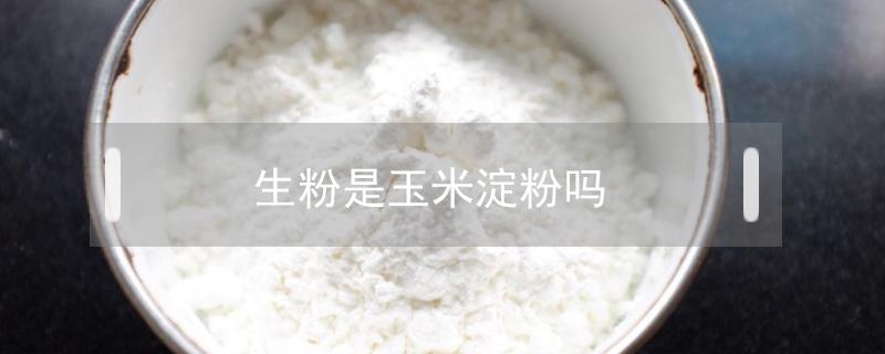 生粉是玉米淀粉吗 双塔生粉是玉米淀粉吗