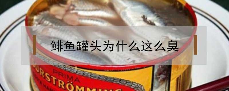 鲱鱼罐头为什么这么臭 鲱鱼罐头为什么这么臭还在生产