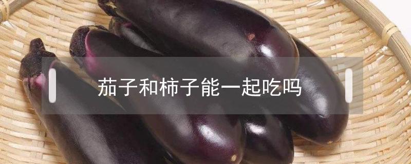 茄子和柿子能一起吃吗（柿子跟茄子能一起吃吗）