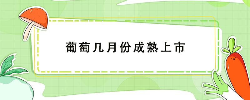 葡萄几月份成熟上市 河南葡萄几月份成熟上市