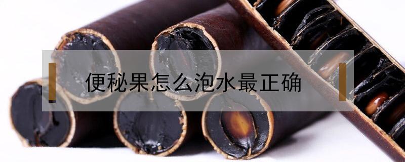 便秘果泡水喝要剥皮吗 便秘果泡水喝去皮吗