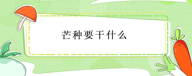 芒种要干什么 芒种要干什么?