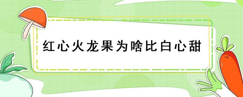 红心火龙果为啥比白心甜（红心火龙果为什么比白心更甜）