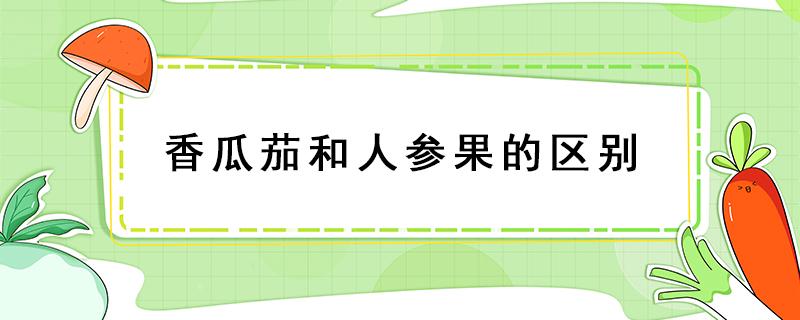 香瓜茄和人参果的区别 人参果和番茄是一类吗