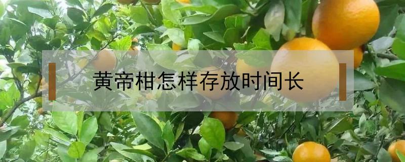 黄帝柑怎样存放时间长（黄帝柑能储存吗）