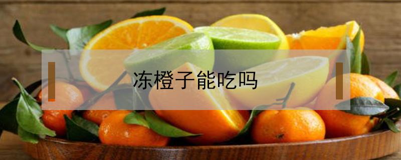 冻橙子能吃吗（冻的橙子还能吃吗）