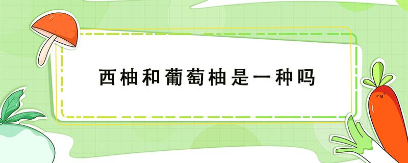 西柚和葡萄柚是一种吗 西柚是葡萄柚的一种吗