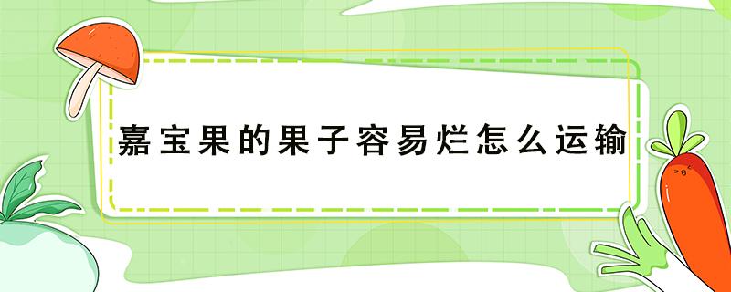 嘉宝果的果子容易烂怎么运输（嘉宝果要怎样种才能结果）