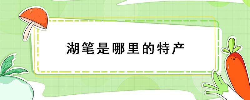 湖笔是哪里的特产（湖笔的出产地是）