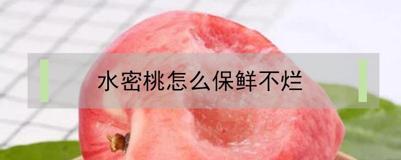 水密桃怎么保鲜不烂 水蜜桃怎么保鲜不烂