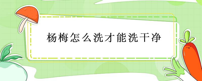 杨梅怎么洗才能洗干净 怎样洗杨梅洗的干净